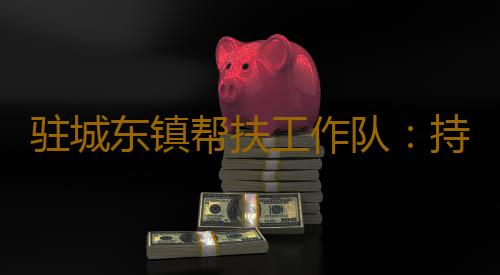 驻城东镇帮扶工作队:持续做好消费帮扶 助力乡村全面振兴